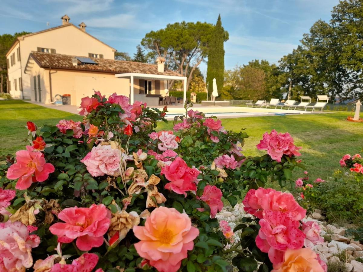 Relais Villa Sofia Calcinelli Exterior photo